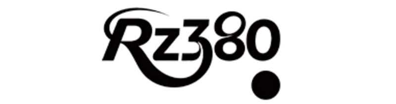 RZ308